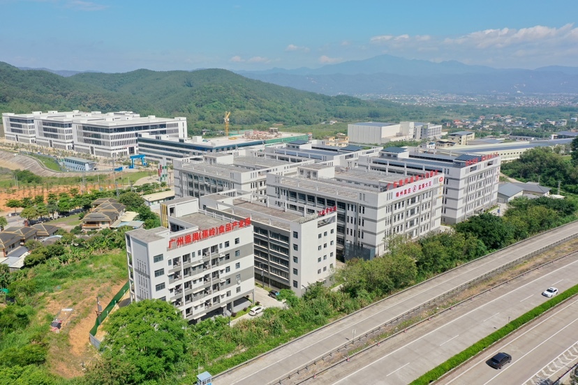 大阳城集团娱乐视频