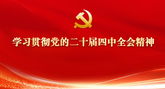 学习贯彻党的二十届四中全会精神