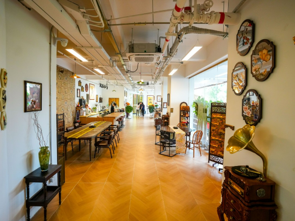 大阳城集团娱乐视频