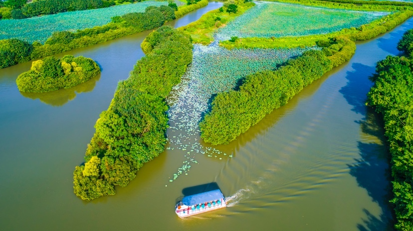 南沙湿地打造“大湾区中央湿地公园”