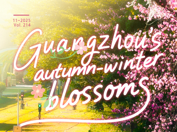 Capturing Guangzhou's autumn–winter blossoms