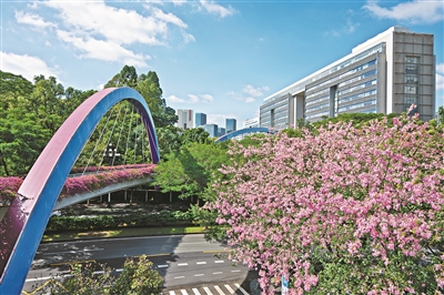 3条“黄埔云道”近期开放 免费开放 无须预约 不限时段