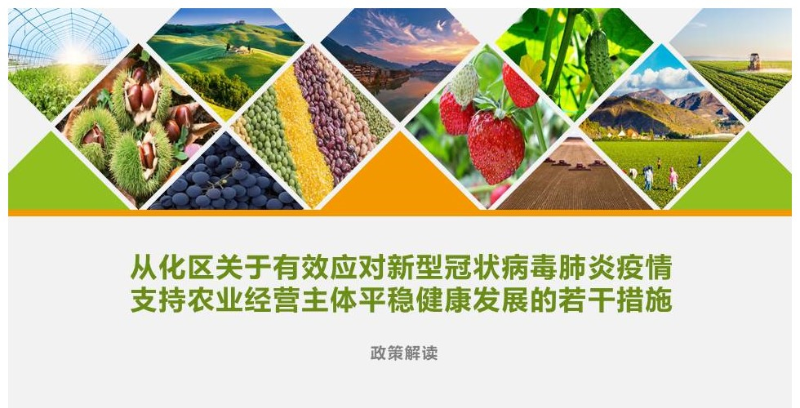 【一图读懂】《从化区关于有效应对新型冠状病毒肺炎疫情支持农业经营主体平稳健康发展的若干措施》的解读