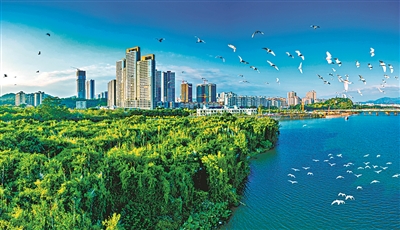 39个基层改革创新案例出炉 诠释现代化人民城市的广州实践