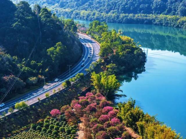 从化这些地方美到出圈！“百千万工程”让乡村大变样