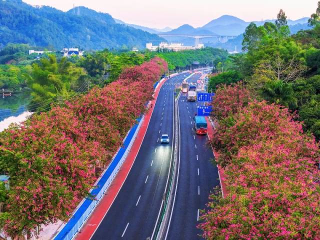 最美旅游公路从化段