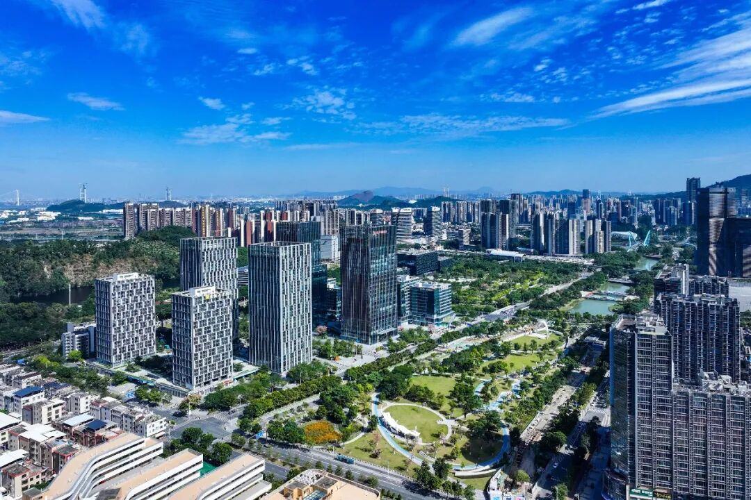 发布提质增效举措  南沙力拼新年经济