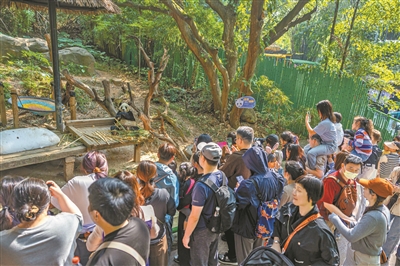 元旦假期广州景区景点、商圈商场、餐厅食肆人气畅旺游人如织