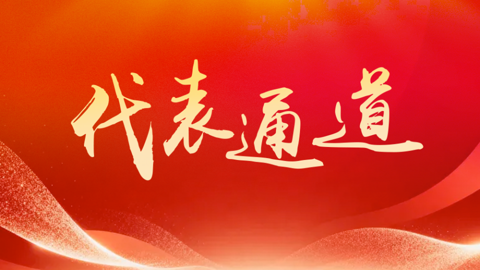 广州市十六届人大六次会议第二场“代表通道”举行