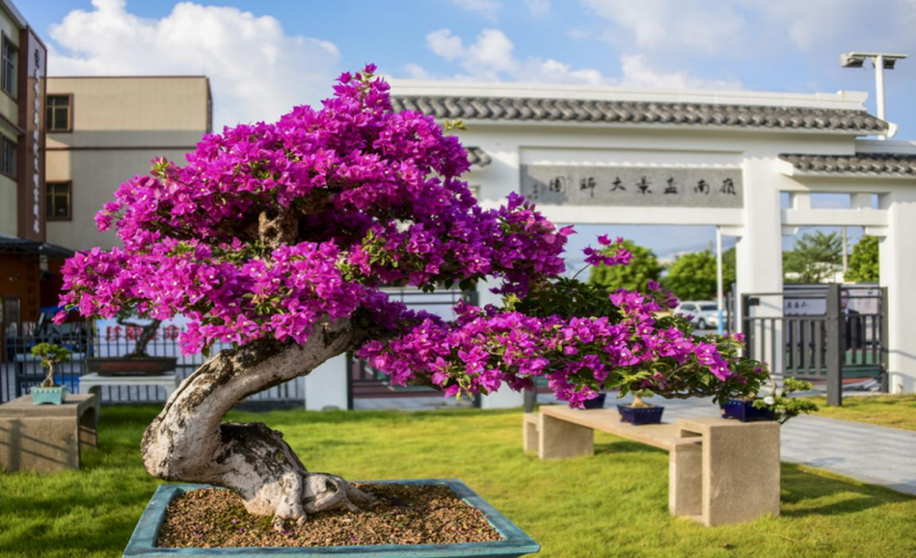 大阳城集团娱乐视频