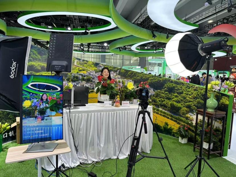 大阳城集团娱乐视频