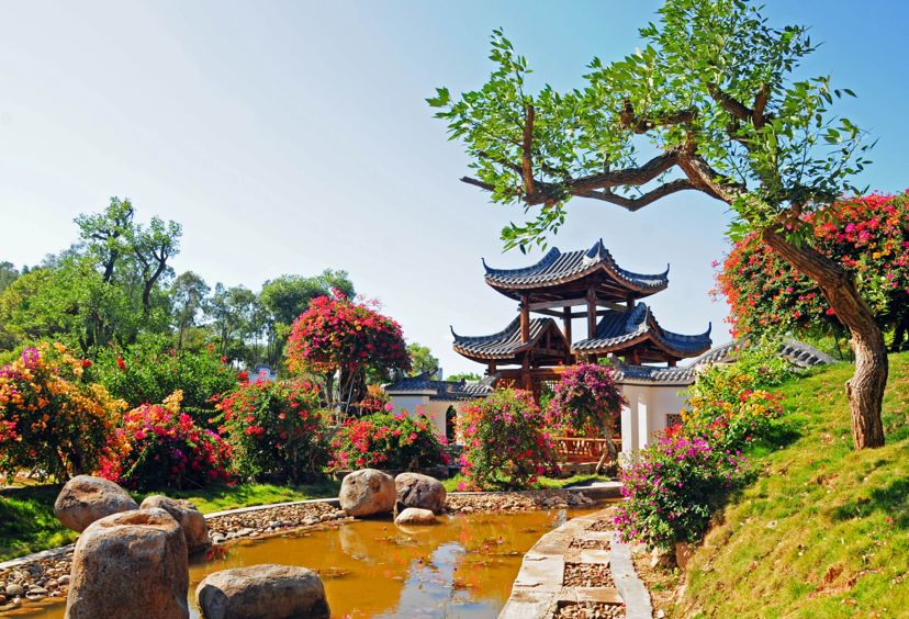 大阳城集团娱乐视频