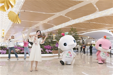 “大湾鸡”快闪拜年萌趣送“福”