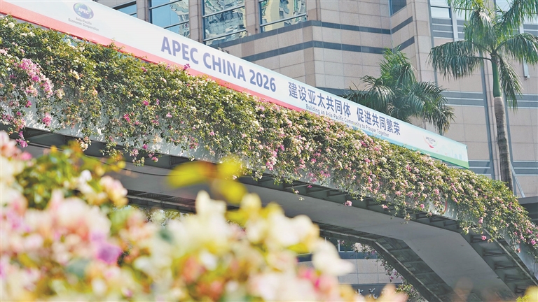 APEC“中国年”广州开场 首场正式活动2月1日开启
