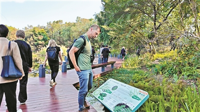 APEC嘉宾“丝滑”读懂广州