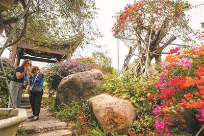 APEC与会嘉宾走进花都探访广州绿美乡村：待到木棉盛开 还来花城看花