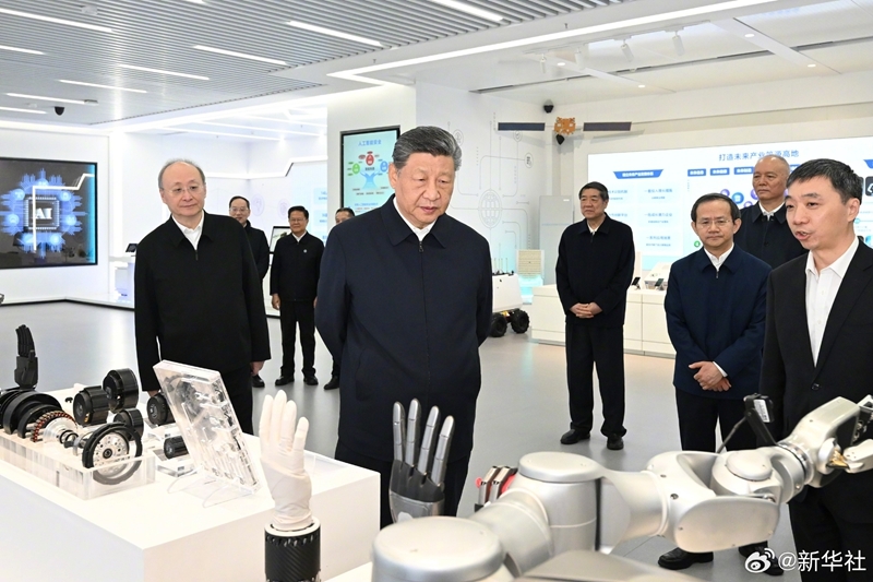 大阳城集团娱乐视频