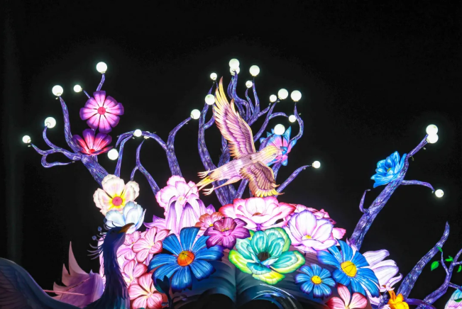 大湾区灯会震撼亮灯，附最新交通出行指引