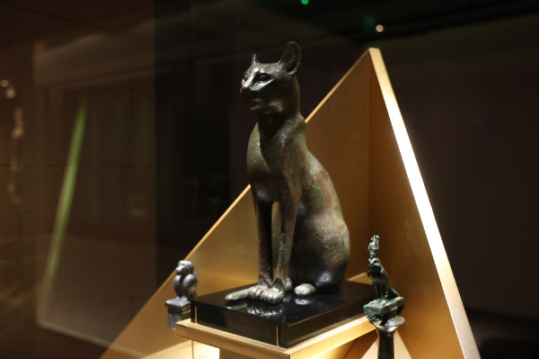 大阳城集团娱乐视频