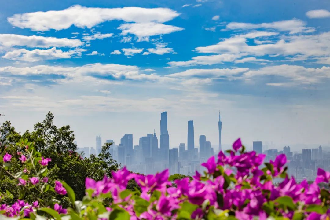 亚太经合组织“中国年”看点多