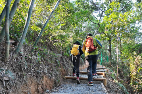 帽峰山上新2.7公里归林康养步道
