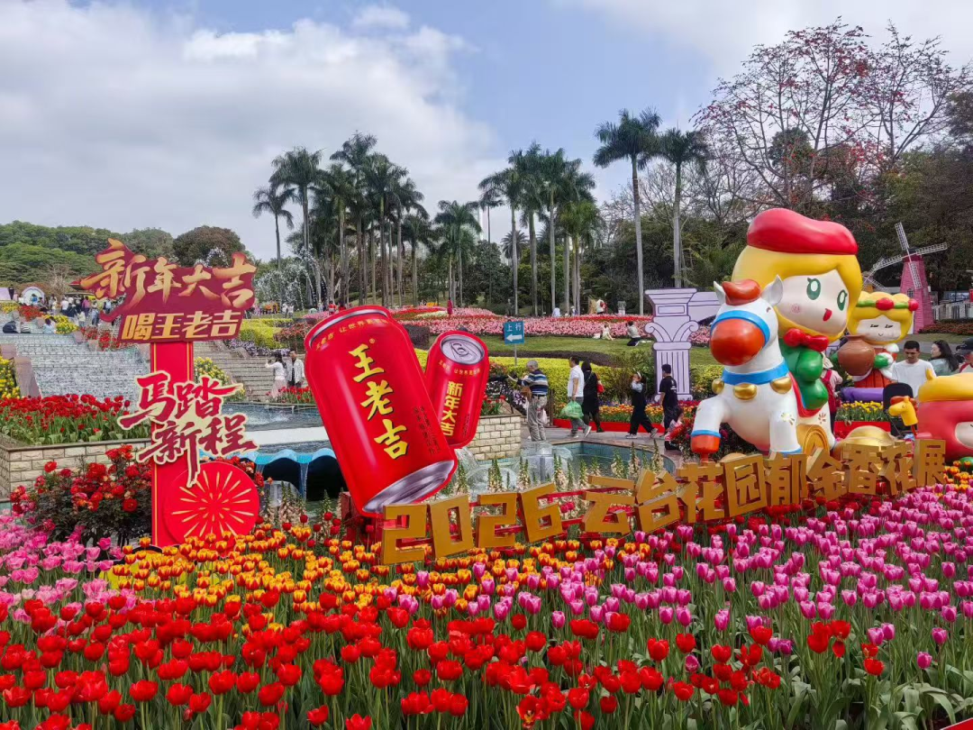 大阳城集团娱乐视频