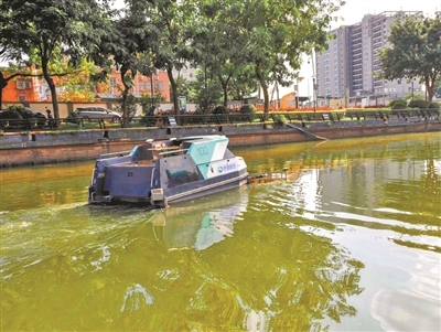 碧波荡漾年味足 环卫坚守暖羊城