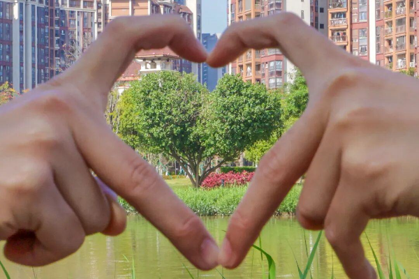 就在南沙！打卡福州同款“爱心树”