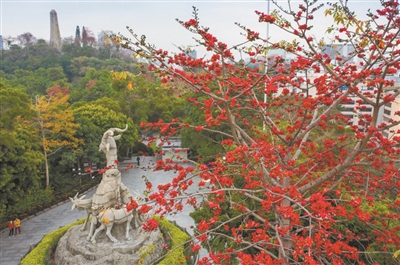 2026广州“英雄花开英雄城”系列活动吸引线上线下逾三亿人次参与互动