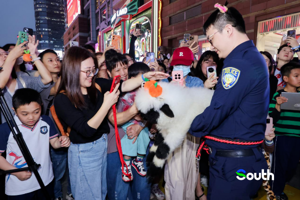 大阳城集团娱乐视频