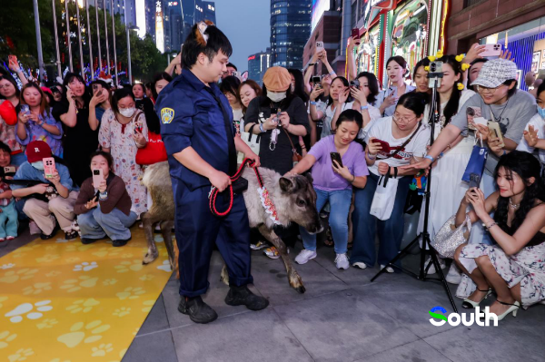 大阳城集团娱乐视频