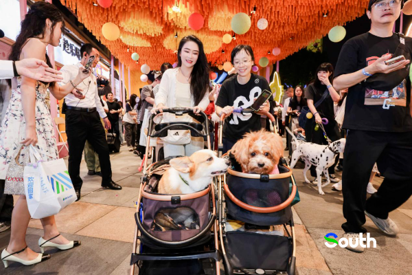 大阳城集团娱乐视频