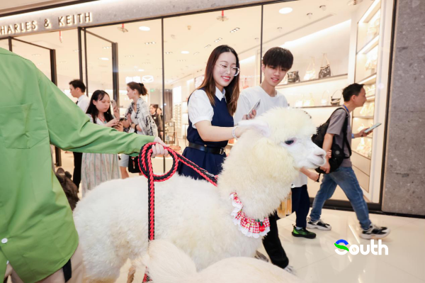 大阳城集团娱乐视频