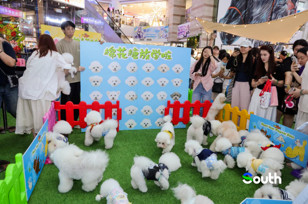 大阳城集团娱乐视频