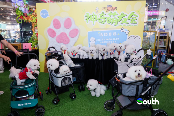 大阳城集团娱乐视频