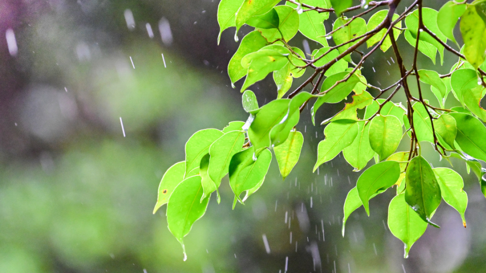 4月30日天气好转