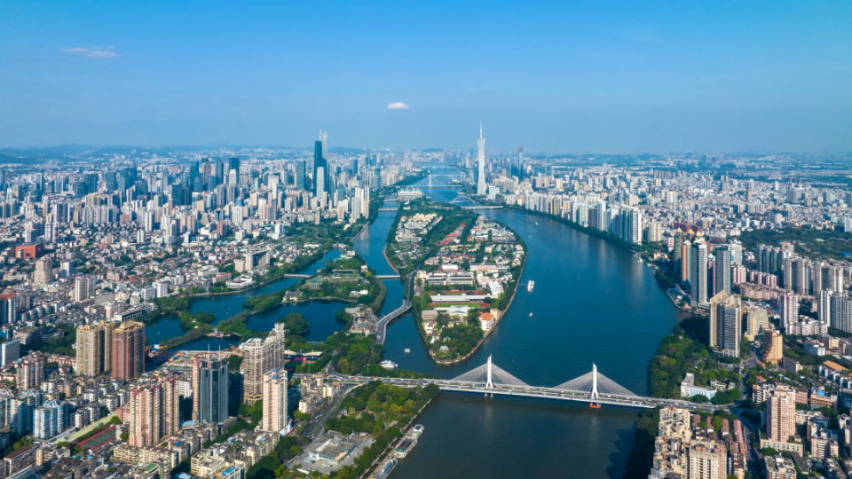 广州市商务局以学习教育实效赋能外贸高质量发展