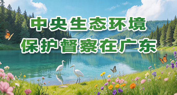 中央生态环境保护督察在广东