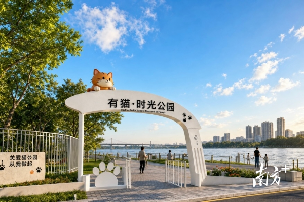 Southern China's first public cat-themed park to be built in Guangzhou