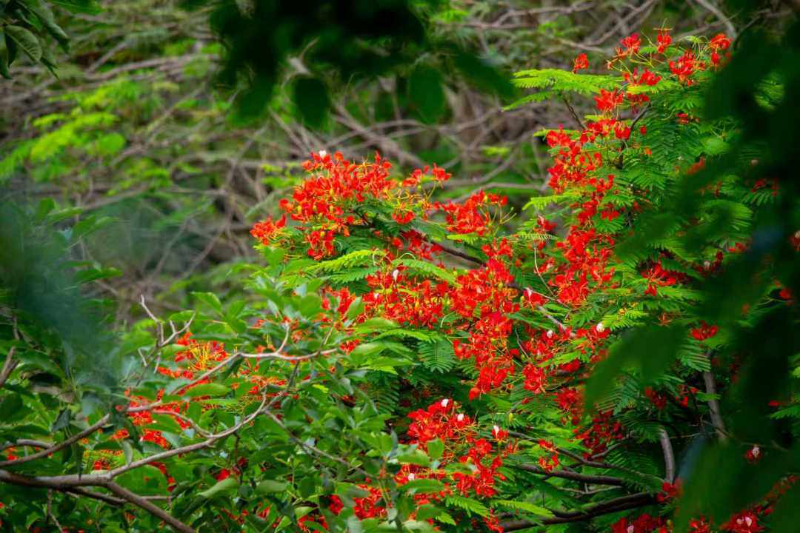 Weixin Image_20260515125725_592_422
