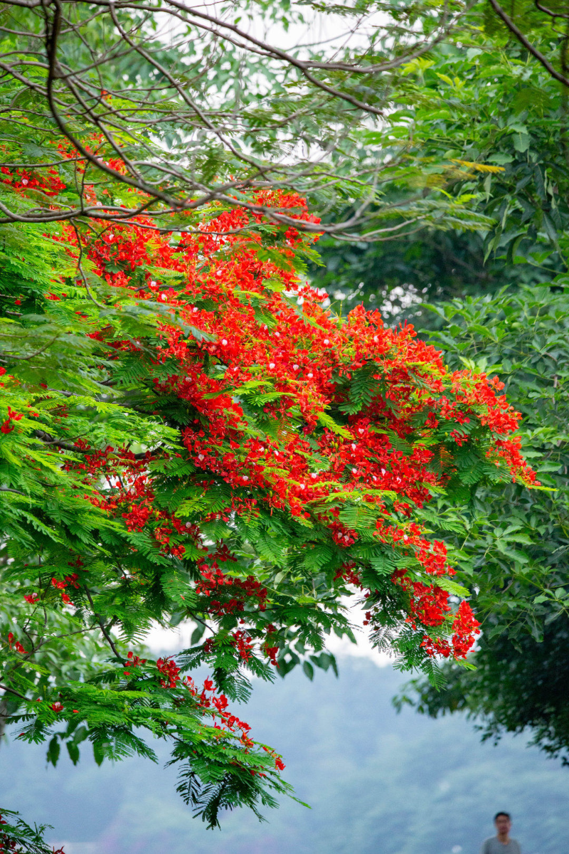 Weixin Image_20260515125719_591_422