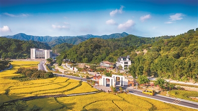 厚植生态底色 书写绿色答卷