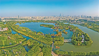 以湿地为基 筑生态新城：超大城市湿地保护的“广州答卷”