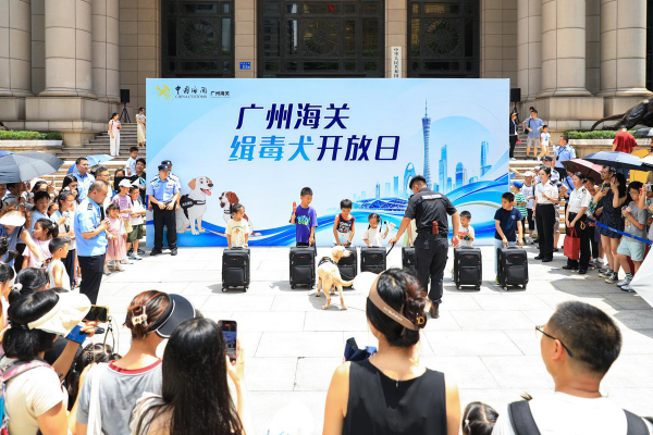 大阳城集团娱乐视频