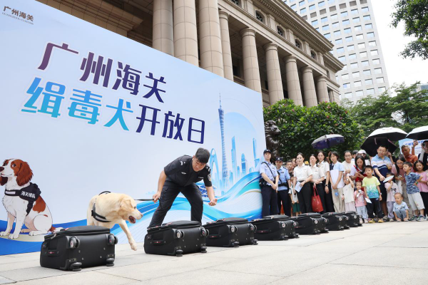 大阳城集团娱乐视频