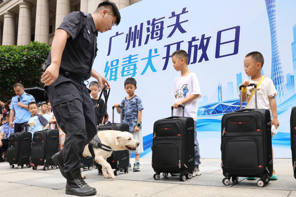 大阳城集团娱乐视频