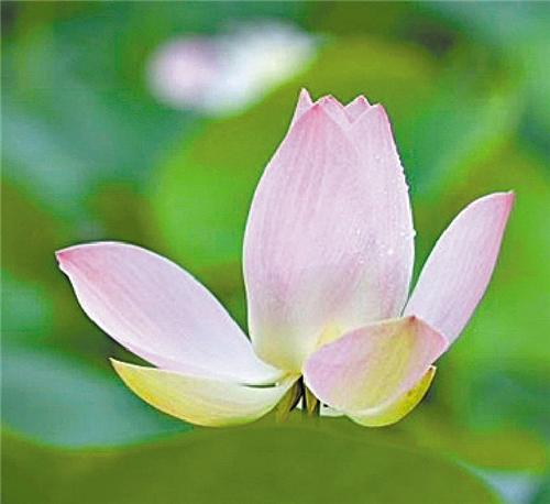 fe85370cfea277059086.png