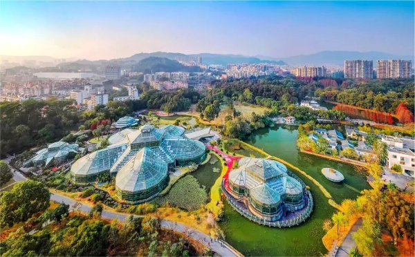 One ticket, three gardens: Explore Guangzhou's botanical treasures