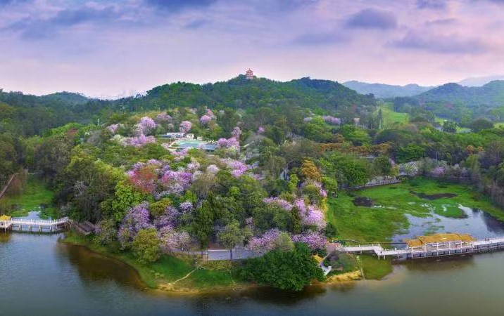 广州全力推进国际湿地城市认证