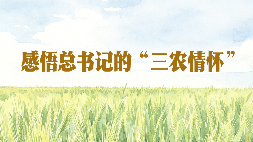 学习进行时丨感悟总书记的“三农情怀”